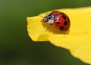 クレカ積立のポイント改悪に対する効果的な対策方法は？